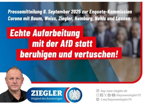 Echte Aufarbeitung mit der AfD statt beruhigen und vertuschen!